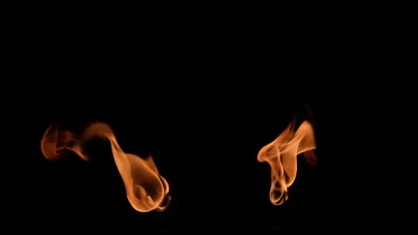 黒い背景に火と炎のスローモーションビデオ。暗闇の中で燃える炎。明るい燃焼炎を閉じます。燃えるようなたき火を発射。高速火炎放射器は炎で爆発する. — ストック動画