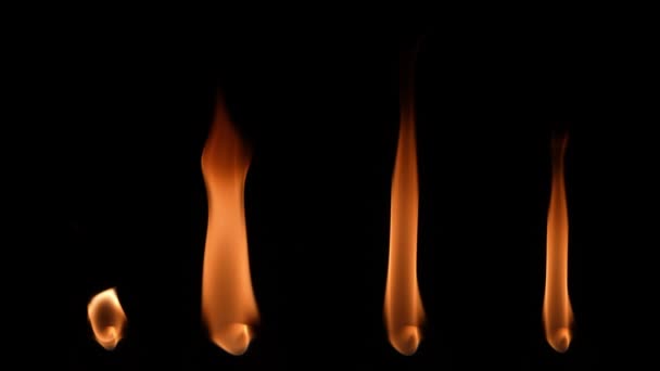 Echte vlam van vuur brandend, geïsoleerd in het donker. Oranje vlammen gloeien tegen een zwarte achtergrond. Vier brandende lichten zorgen voor een warme gloed. Vlam van kaars of brander gloeit dicht in slow motion. — Stockvideo