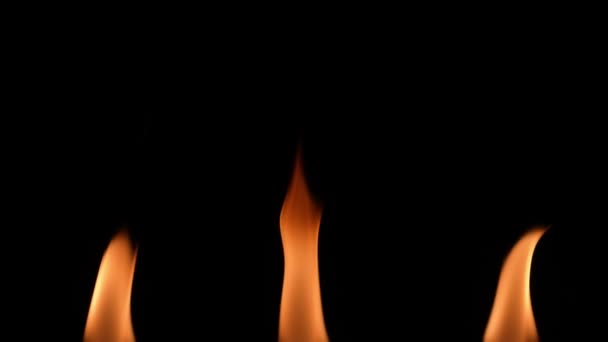 Véritable flamme de feu brûlant, isolée dans l'obscurité. Les flammes orange brillent sur un fond noir. Trois lumières brûlantes créent une lueur chaude. La flamme de la bougie ou du brûleur brille de près au ralenti. — Video