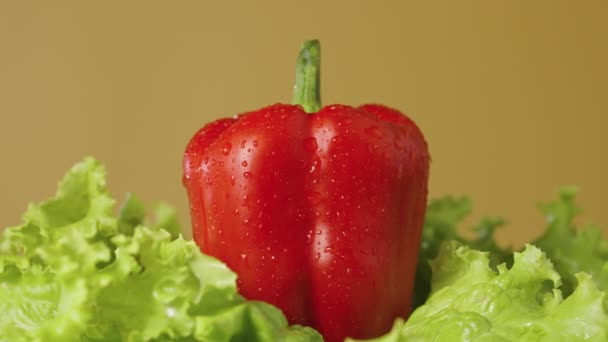 Hojas de lechuga verde rizado y pimientos rojos en gotas de agua rotan sobre un fondo marrón estudio. Verduras frescas maduras y ensalada con gotitas de humedad de cerca. Movimiento lento. — Vídeos de Stock