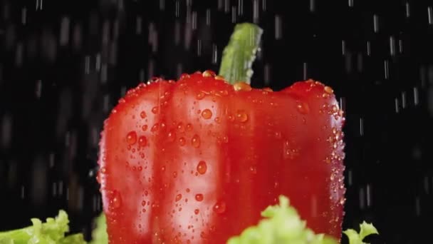 Red bell peppers and green lettuce leaves and rotate on a black studio background under running water. Fresh ripe vegetables and salad in the shower. Slow motion. Close up. — Stock Video