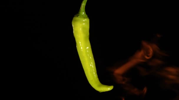 Groene hete chili pepers roosteren over vuur op zwarte studio achtergrond. Vlammen bedekken kruidige groente. Rode peper brandt op het spel en wordt zwart. Pittig eten koken boven een vuur. Langzame beweging. Sluiten.. — Stockvideo