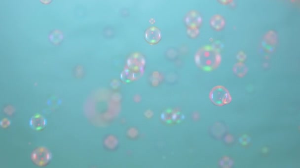 Красиві барвисті мильні бульбашки, освітлені рожевим світлом, пролітають у приміщенні на синьому фоні. Круглі бульбашки плавають у повітрі та іскриться веселковими візерунками. Близько. Повільний рух . — стокове відео