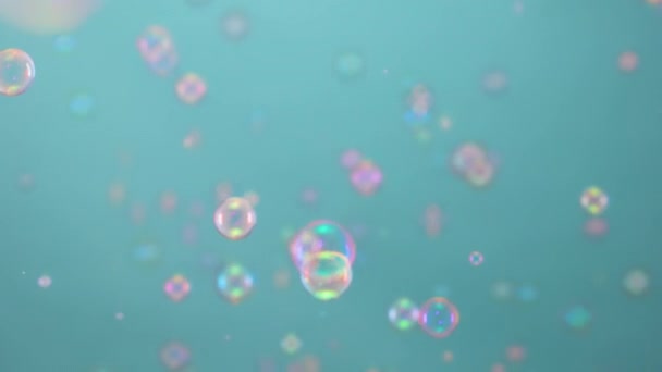 Lindas bolhas de sabão coloridas iluminadas pela luz rosa voam dentro de casa em um fundo azul. Bolhas redondas flutuam no ar e brilham com padrões de arco-íris. Fecha. Movimento lento. — Vídeo de Stock