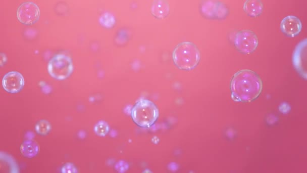 Hermosas burbujas de jabón de colores vuelan en el interior sobre un fondo rosa. Burbujas redondas que vuelan en el aire y brillan con patrones de arco iris. Juegos de jabón para niños. De cerca. Movimiento lento. — Vídeos de Stock