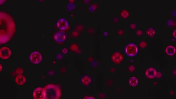 Veel zeepbellen verlicht door blauw en roze neon lichten vliegen tegen een zwarte achtergrond. Glanzende regenboog patronen schitteren in slow motion. Sluiten van zeepbellen, kinderen plezier. — Stockfoto