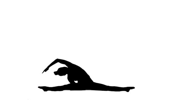 Silhouette nera di giovane donna in abbigliamento sportivo facendo yoga, allungando il corpo. Allenamento, fitness per le donne, aerobica. Vista laterale a tutta lunghezza su sfondo bianco. Movimento lento pronto 59.94fps. — Video Stock