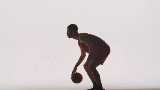 Twee basketbalspelers oefenen balbezit tijdens de training. Silhouet van atleten die vangen bal en dribbelen, dan doorgeven. Neergeschoten op een witte studio achtergrond in slow motion. — Stockvideo
