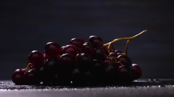 A bunch of ripe blue grapes in drops of water rotates on a black studio background. Juicy sweet purple berries of grapes close up. Autumn harvest fruit screensaver. — Stock Video