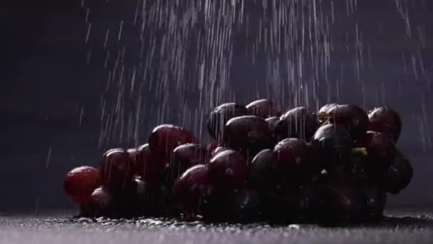Um monte de uvas azuis maduras gira sobre um fundo de estúdio cinza sob chuva. Bagas roxas doces suculentas de uvas em baixas e salpicos de água, feche. Outono colher protetor de tela de frutas. Movimento lento — Vídeo de Stock