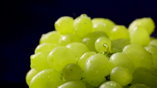 Um bando de uvas verdes maduras com gotas de água, girando sobre um fundo de estúdio preto. Uva em gotas de umidade. Bagas molhadas de uvas suculentas sob chuva. Frutas doces. Fecha. Movimento lento. — Vídeo de Stock