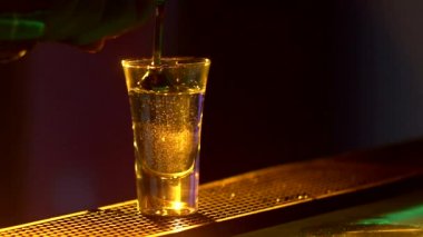 Barmen kokteyl yapmak