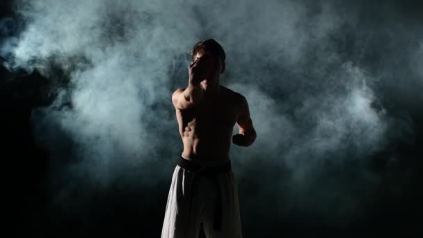 Karate adam egzersizleri yapıyor — Stok video