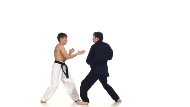 Sparring taekwondo sobre un fondo blanco — Vídeos de Stock