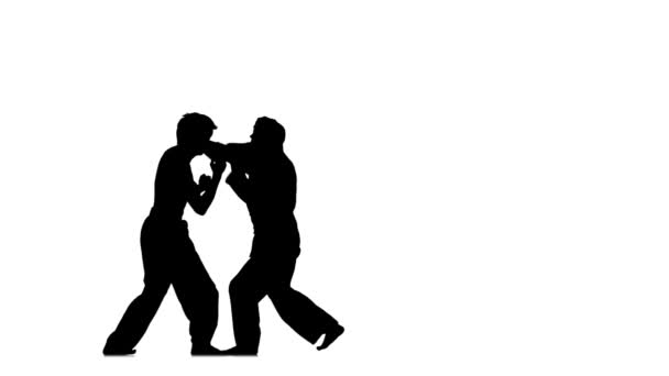 Sparring taekwondo em um fundo branco — Vídeo de Stock