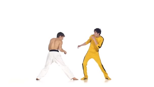 Two karate sparring — Stock Video