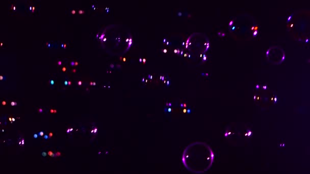 Различные мыльные пузыри на фиолетовом фоне, заднем плане, закрыть — стоковое видео