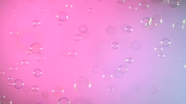 Blauwe en duidelijk zeepbellen op roze en violet, achtergrond, slow-motion — Stockvideo