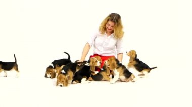 woman with cute beagle puppy on a white on studio. Slow motion