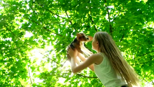Chica con el pelo largo jugando con su perro beagle en el parque. Movimiento lento — Vídeos de Stock