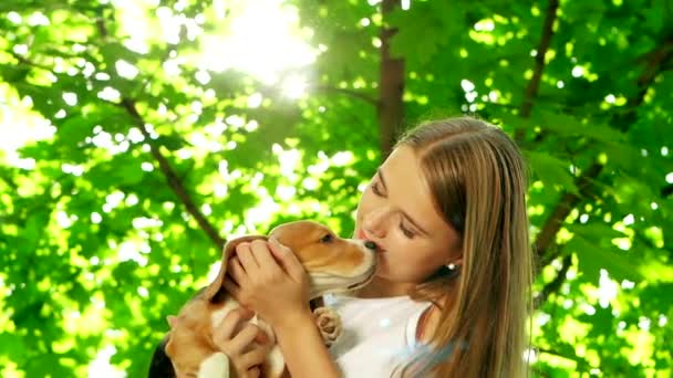 Gir brincando com seu cão beagle no parque de verão. Movimento lento — Vídeo de Stock
