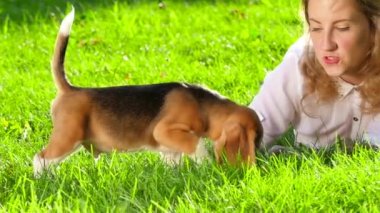 doğada oynayan bir köpek beagle ile mutlu kadın