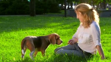Parkta onu güzel beagle ile bir kadının portresi