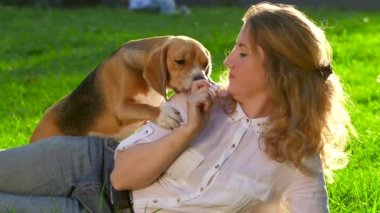 Parkta onu güzel beagle ile bir kadının portresi