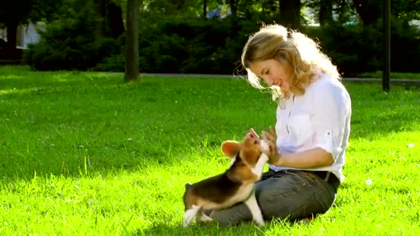 Chica jugando con su perro beagle en el parque. Movimiento lento — Vídeos de Stock