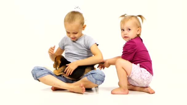 Dítě s štěňátko Beagle přes bílé pozadí — Stock video