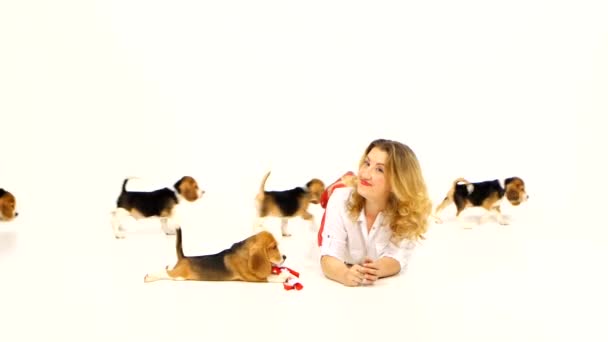 Belle femme Il joue avec des chiots beagle — Video