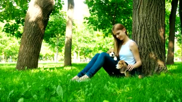 Mulher feliz com um cão beagle jogando na natureza — Vídeo de Stock