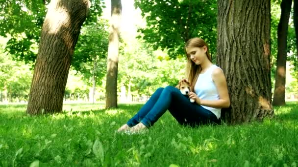 Happy woman with a dog beagle playing on nature — Stock Video