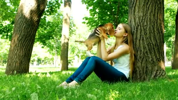 boldog lány egy kutya Beagle játék a természetben