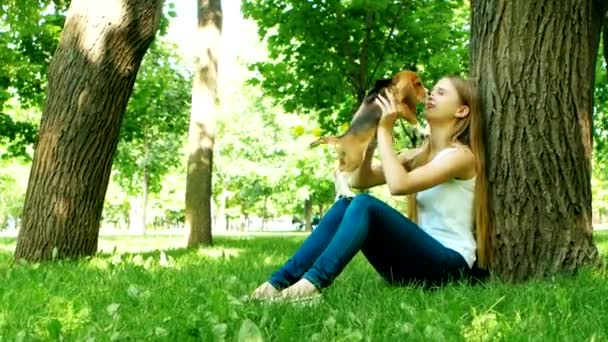 Girl playing with her beagle dog in summer park — Stock Video