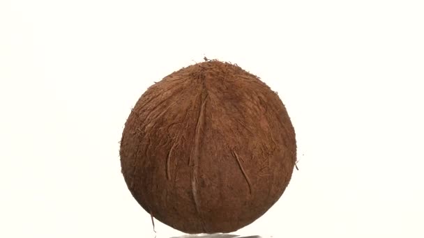 Coconut isolated on white, rotation — Stock Video