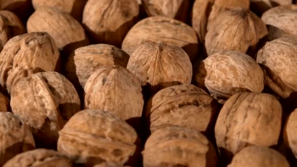 Een heleboel walnoten, rotatie, achtergrond, close-up — Stockvideo