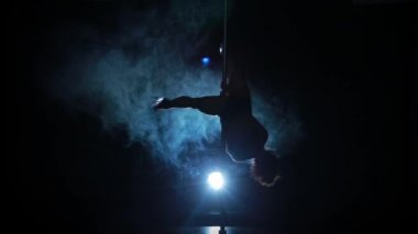 seksi bir kadın kutup dans 12of23 silueti