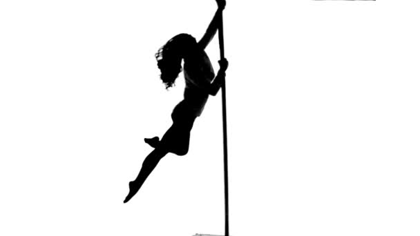 One caucasian woman pole dancer dancing in silhouette studio isolated on white background — Stock Video