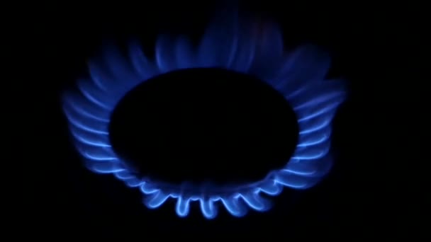 Blue Natural Gas Flames. Moción lenta . — Vídeos de Stock