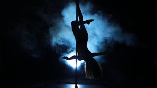 1of23 Silhouette di una sexy pole dance femminile — Video Stock