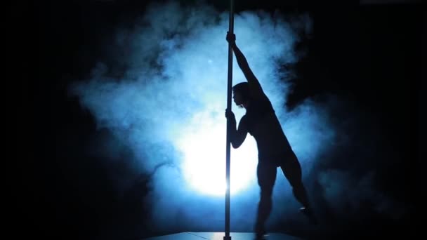 10of23 Silhouette d'une femme sexy pole dance — Video