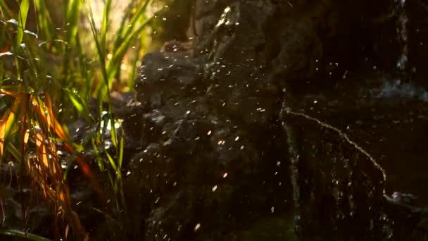 Piękny mały wodospad na zachodzie słońca — Wideo stockowe