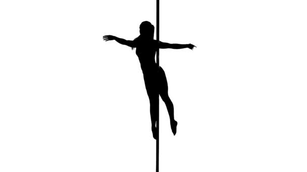 Silhouette of a sexy female pole dancing — Stock Video
