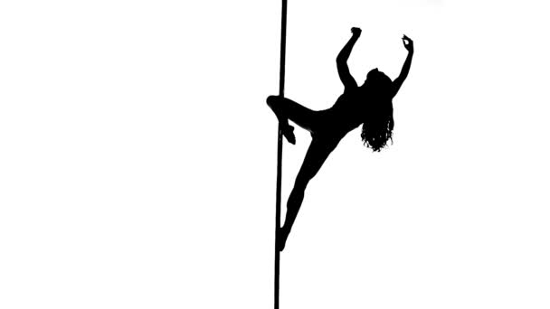 Silhouette di una sexy pole dance femminile — Video Stock