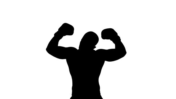 Boxer winner silhouette on white background — Stock Video