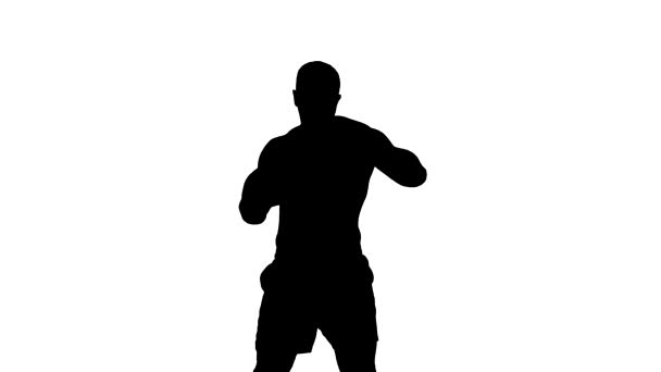 One caucasian man exercising boxing boxer  workout fitness in silhouette studio  isolated on white background — Stock Video