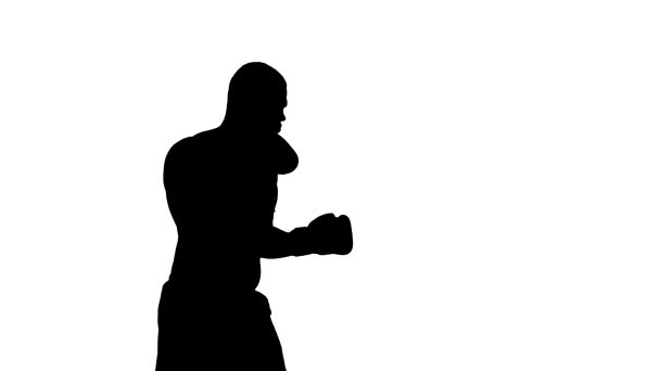 One caucasian man exercising boxing boxer  workout fitness in silhouette studio  isolated on white background — Stock Video