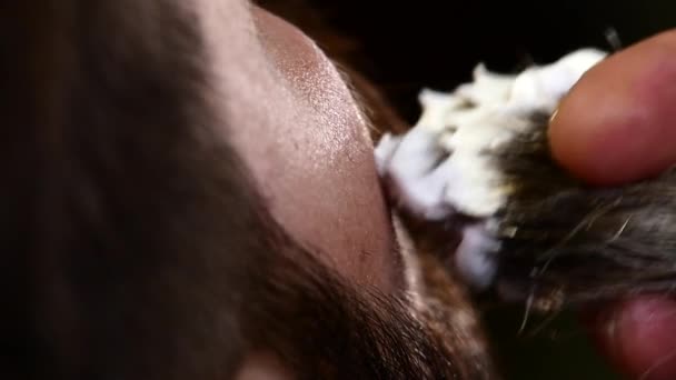 Stílusos férfi fodrász. Borbély az arc borotvahab egy tampon — Stock videók