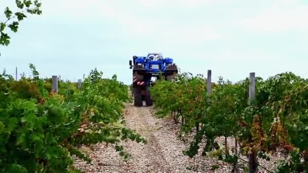 Máquina para recoger las uvas de vino — Vídeos de Stock